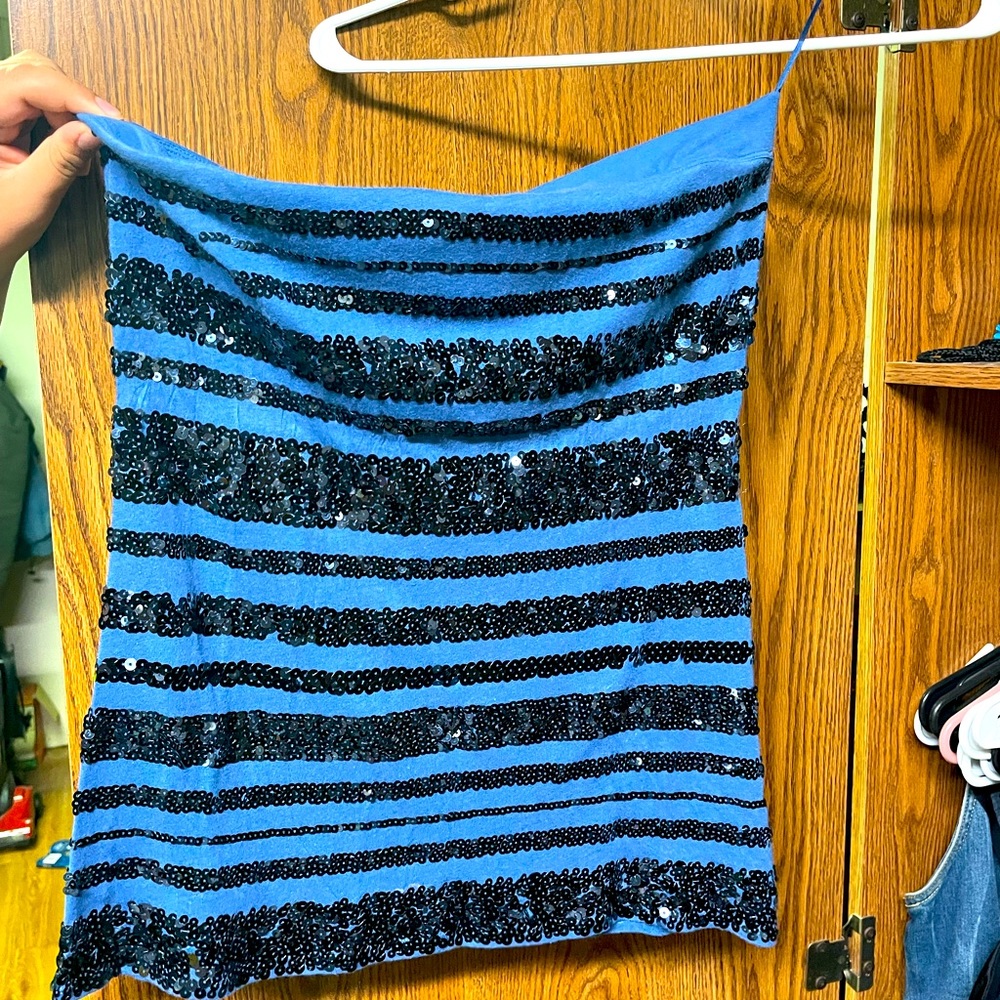 Blue Sequin Tank Top XL Express